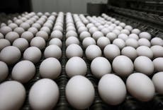 El precio de los huevos en EE. UU. aumentaría un 40 % en 2025, afirman proyecciones