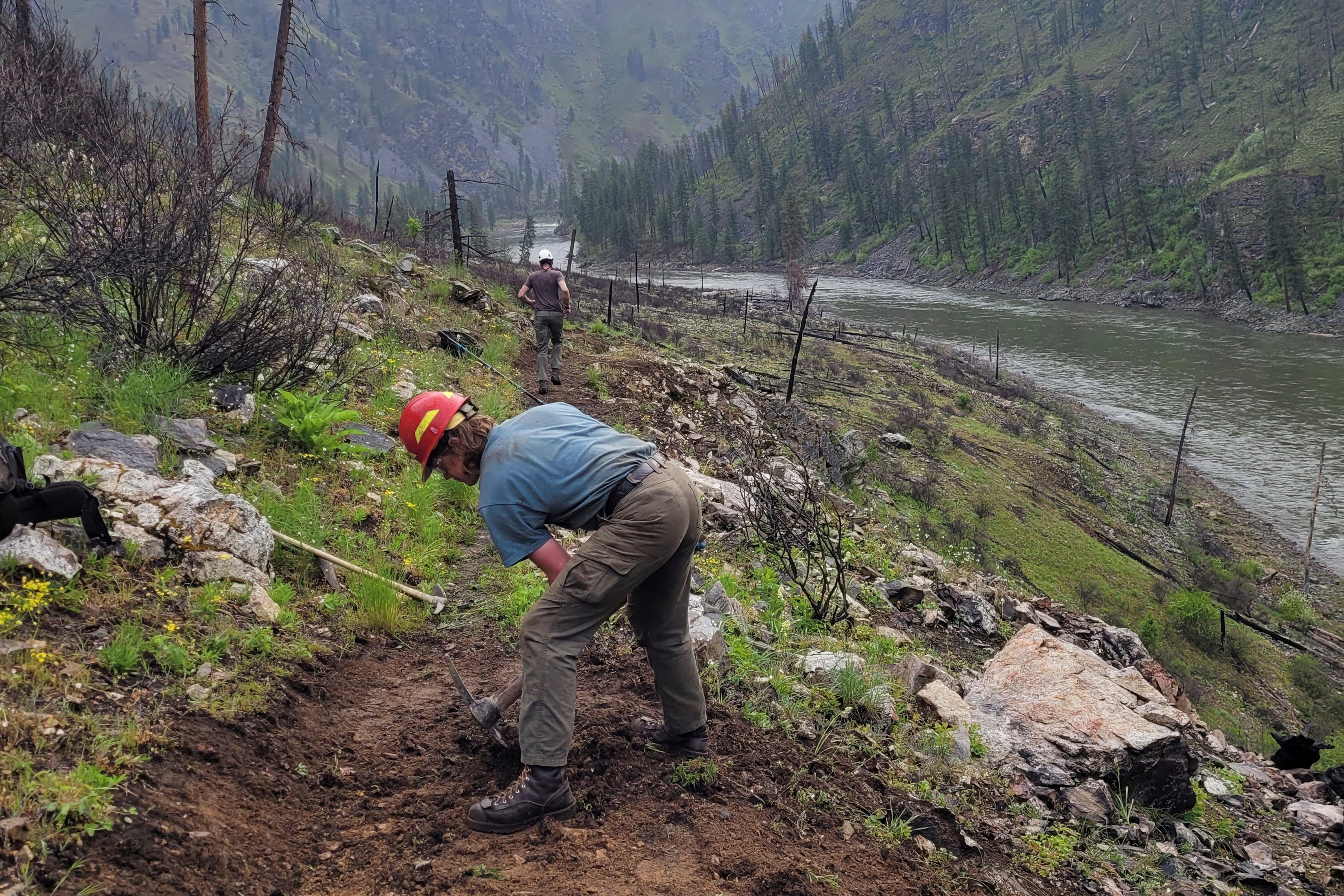 AMN-GEN TRUMP-INCENDIOS