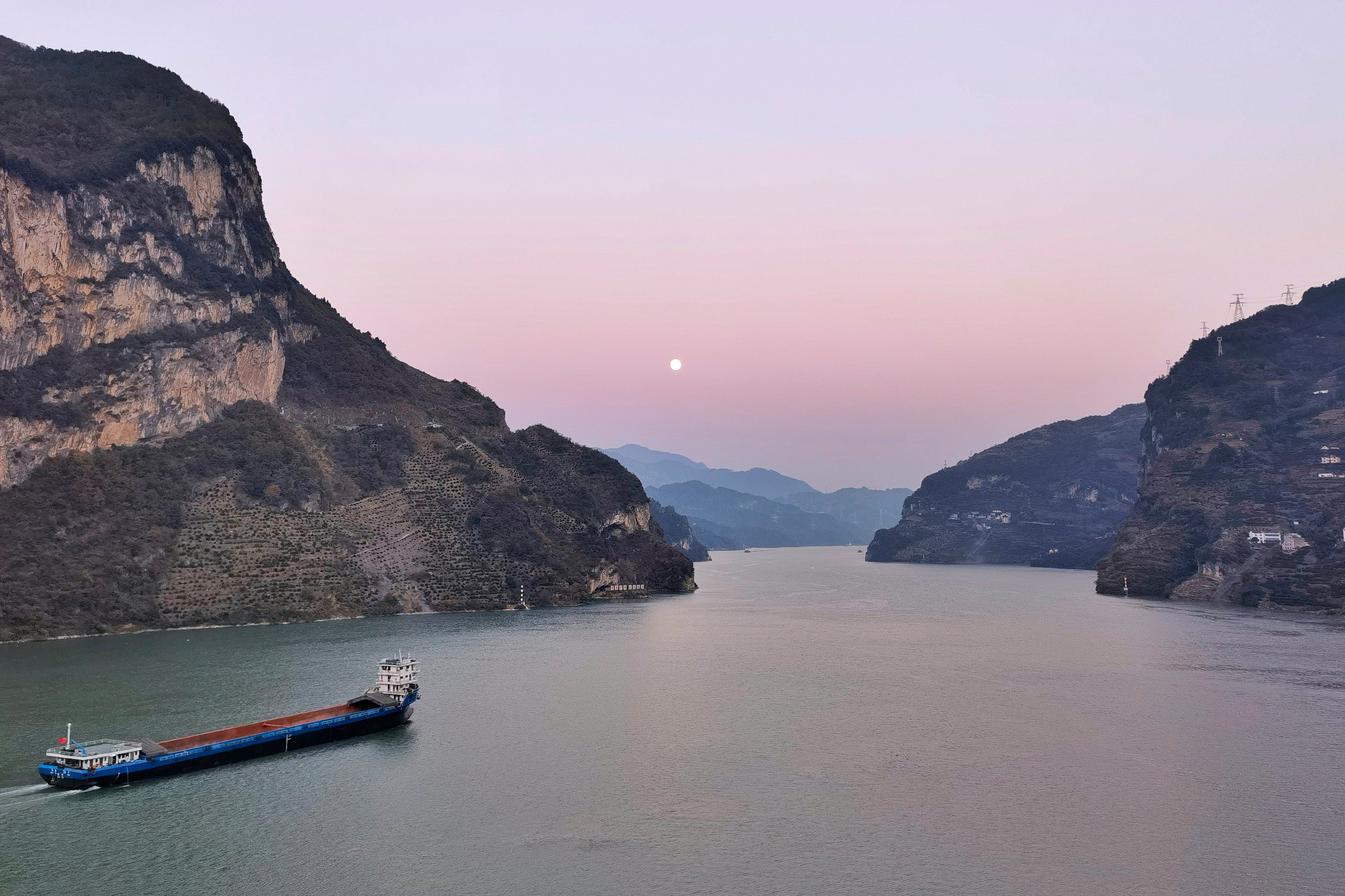 ASI-GEN CHINA-CACHORRO MONTAÑA