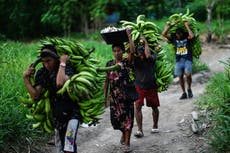 Conversaciones ONU concluyen con un plan de 200.000 millones anuales para proteger la naturaleza