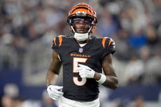 Los Bengals colocan nuevamente etiqueta de jugador franquicia al wide receiver Tee Higgins