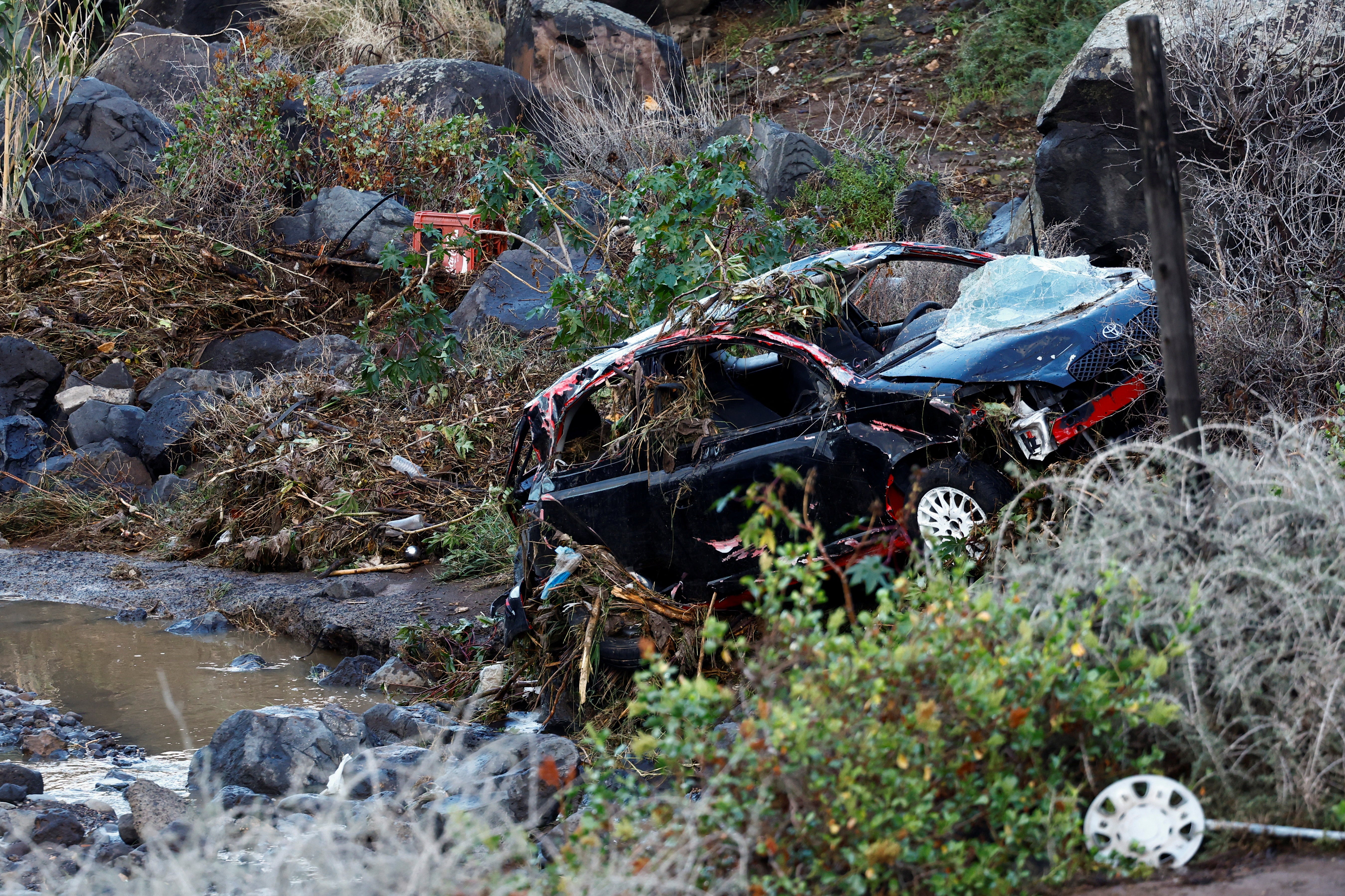 Un auto arrastrado por la lluvia yace entre la vegetación