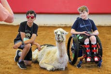 La llama más vieja del mundo reconforta a niños con dolencias crónicas en Carolina del Norte