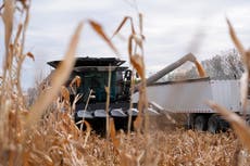 "Tengan paciencia conmigo", dice Trump mientras agricultores y consumidores aguardan ante aranceles