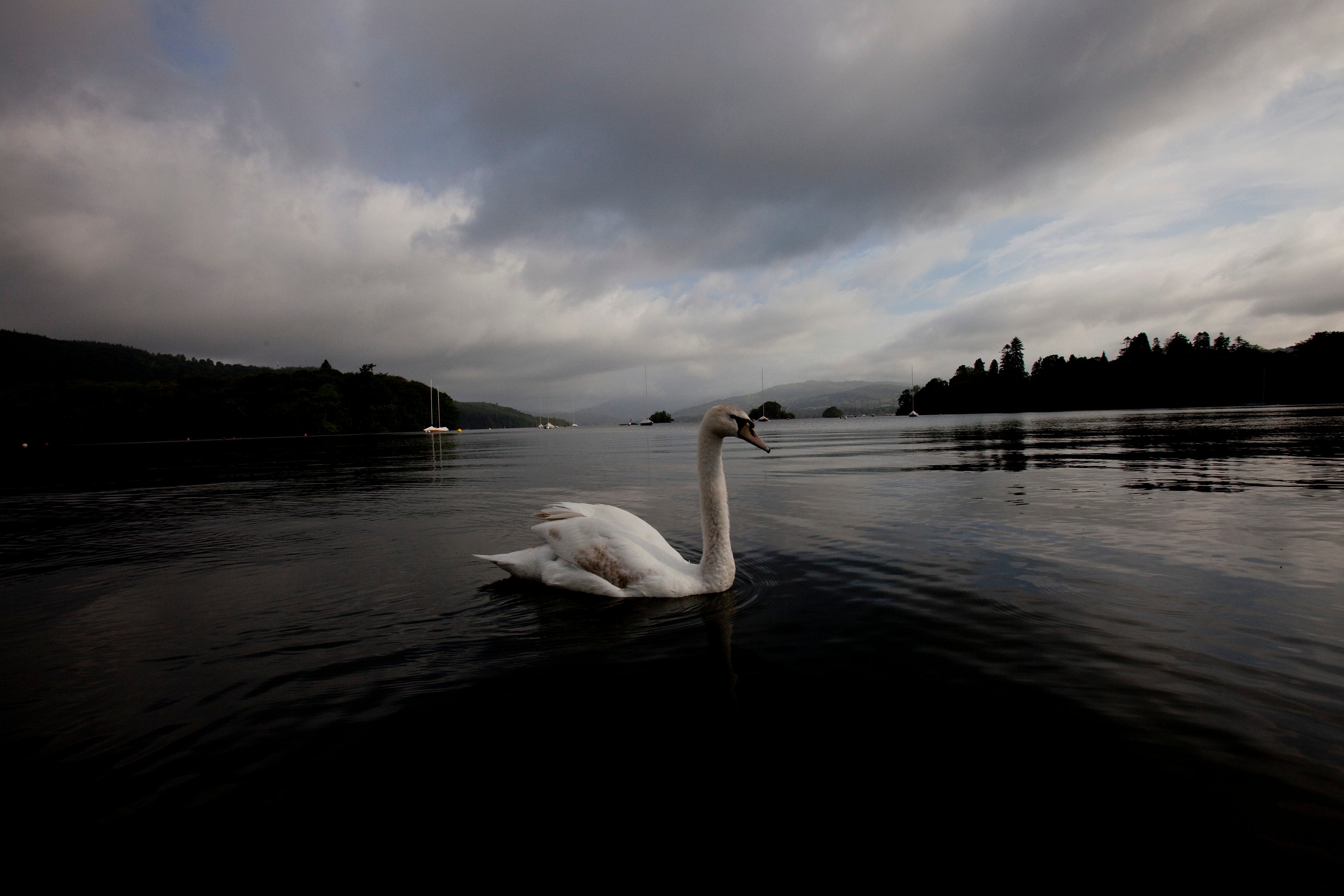 REINO UNIDO LAGO CONTAMINADO