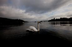Reino Unido promete limpiar lago contaminado por aguas residuales