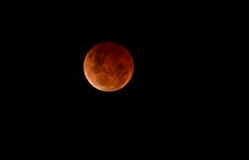 Cuándo y cómo ver la impresionante “luna de sangre” esta semana