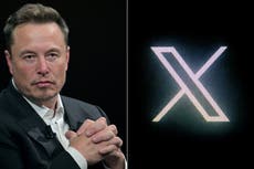 Musk habría echado a ingeniero de X por confirmar baja en su popularidad
