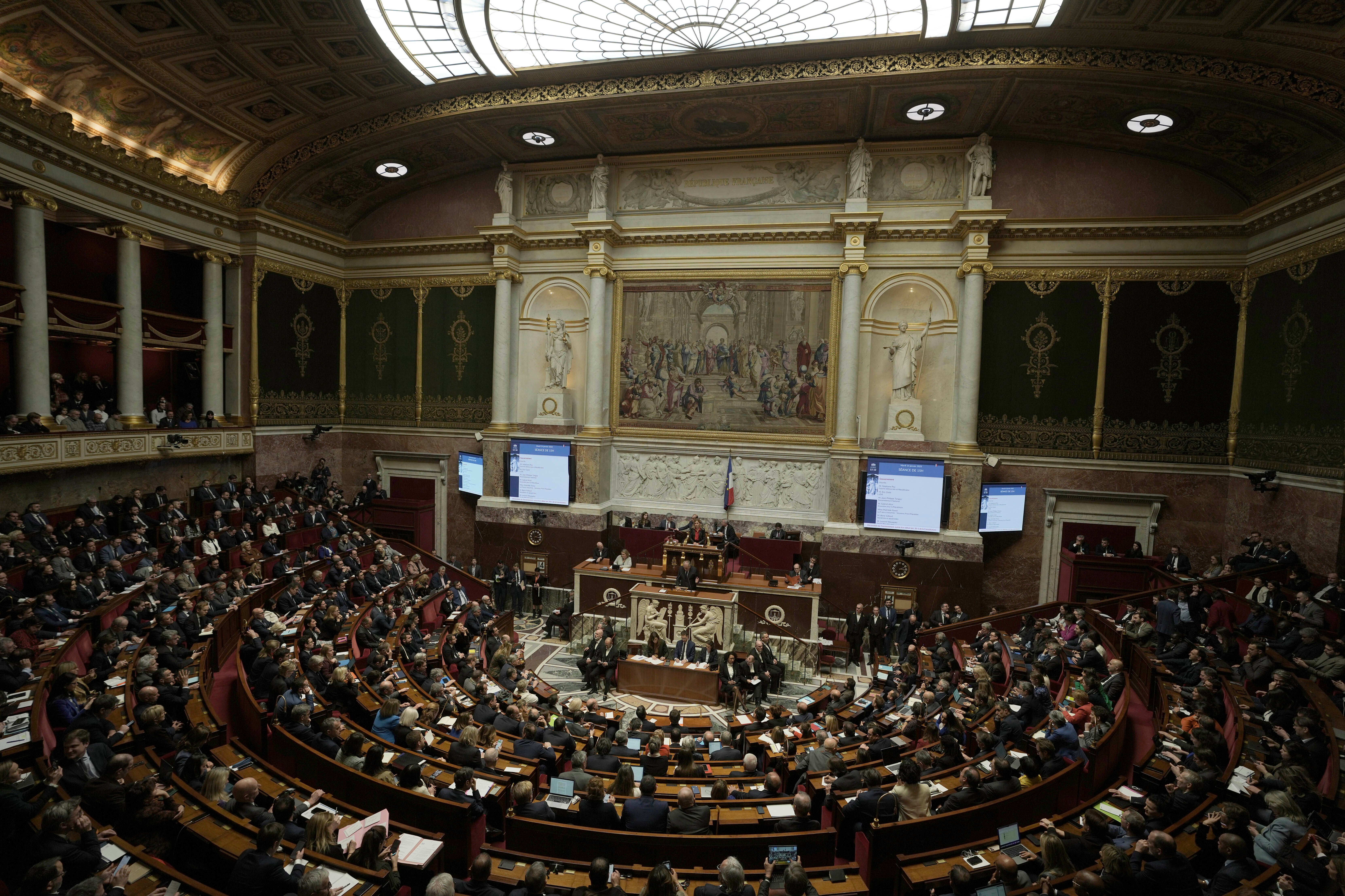 FRANCIA PARLAMENTO DISCAPACIDADES