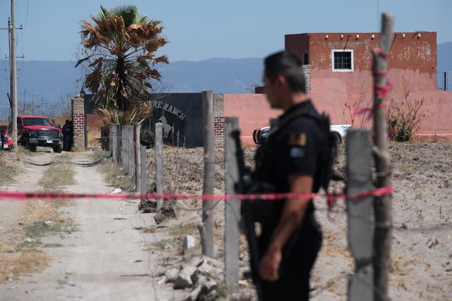 MÉXICO-VIOLENCIA