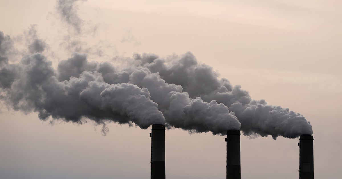 Científicos se mofan de intentos de la EPA de afirmar que el cambio climático no es un peligro | Independent Español