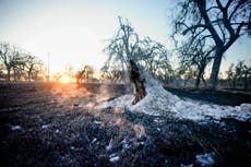 Evalúan los daños causados por los incendios que dejaron cientos de casas destruidas en Oklahoma