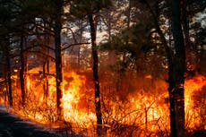 Incendios forestales provocan evacuaciones y una declaración de emergencia en las Carolinas