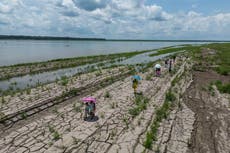 De diluvios a sequías: Cambio climático acelera ciclo del agua y provoca clima extremo