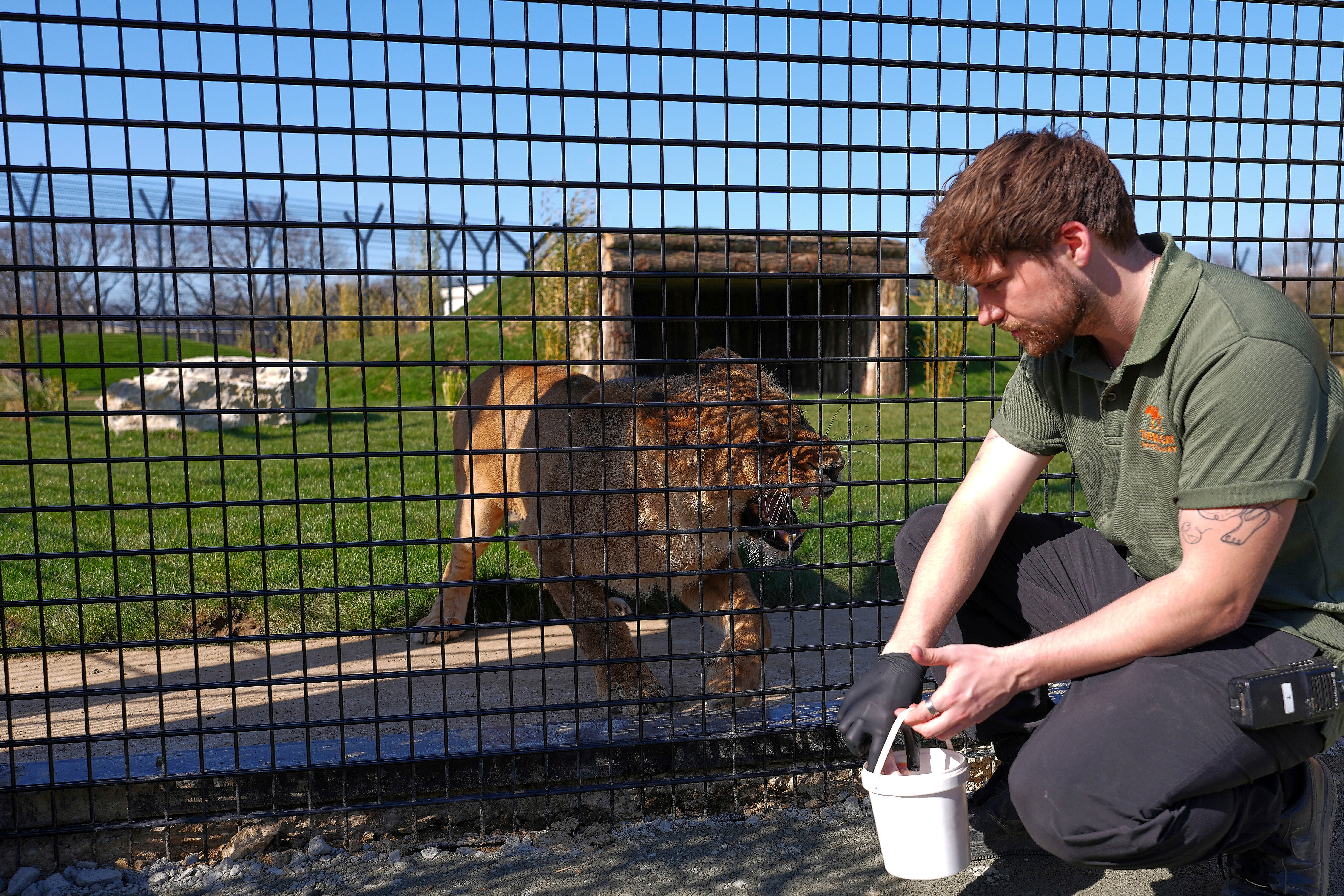 REINO UNIDO-UCRANIA-LEONES
