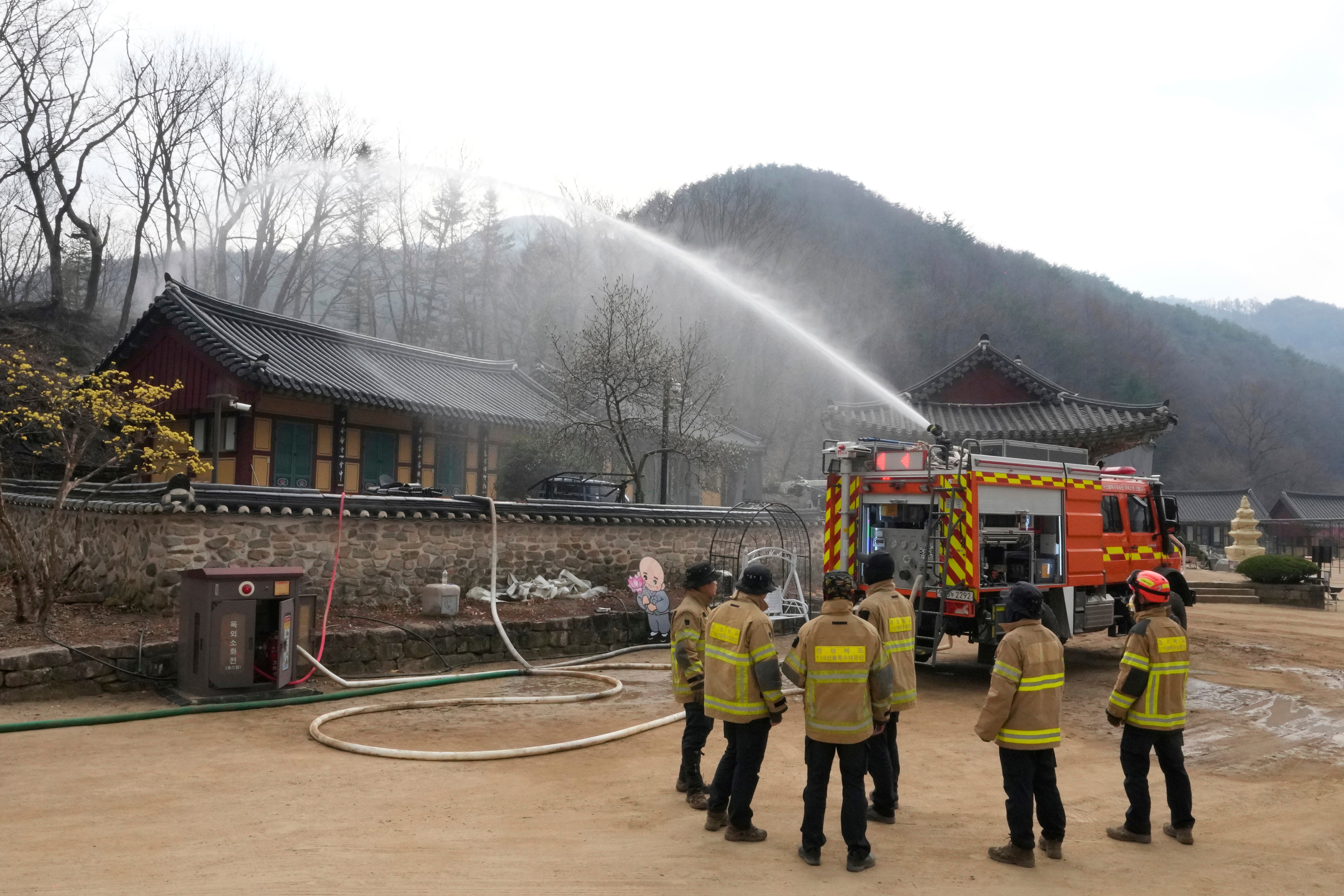 SURCOREA-INCENDIOS FORESTALES