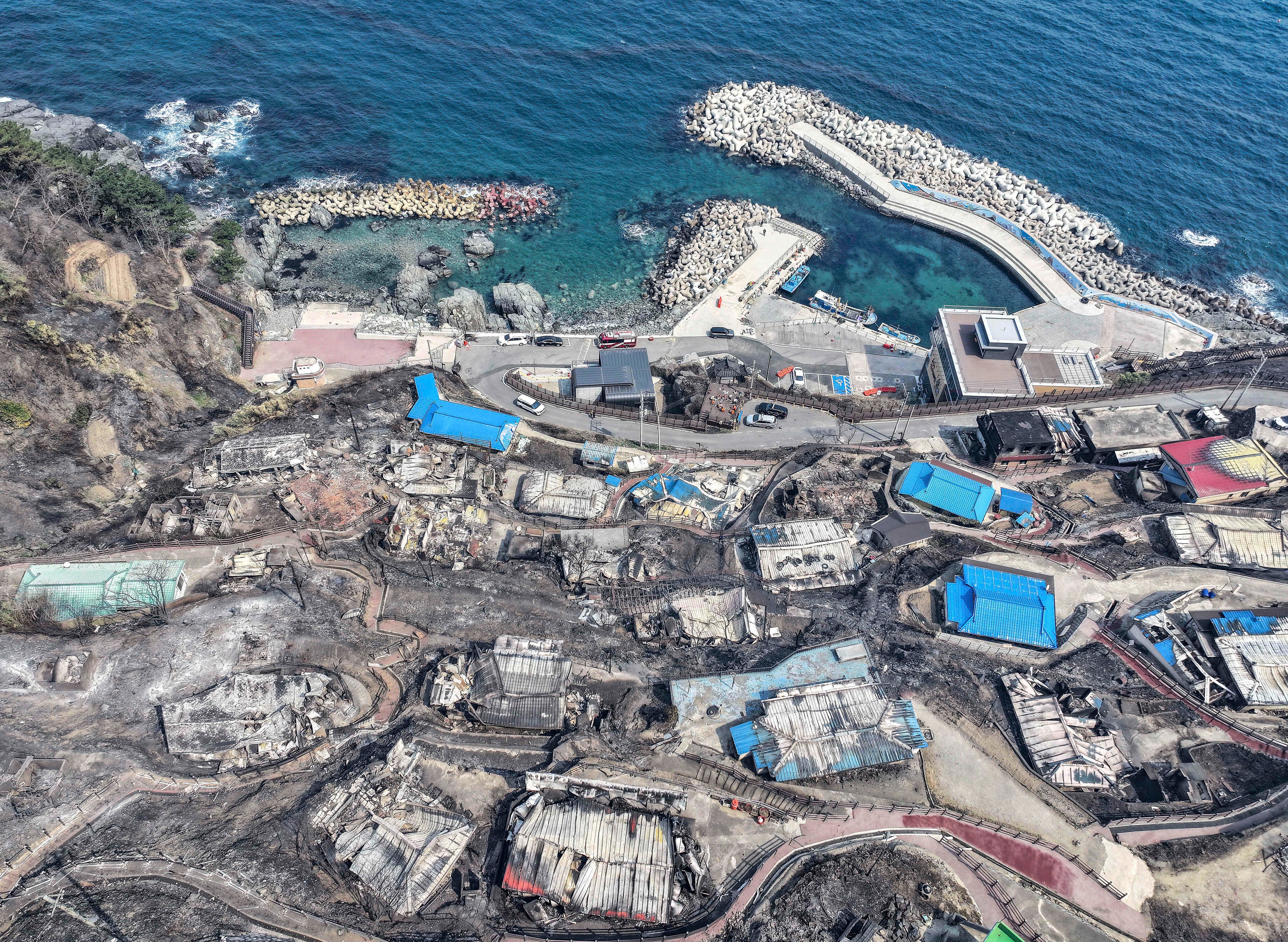 SURCOREA-INCENDIOS FORESTALES