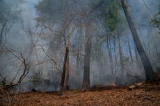 Problemas presupuestales e incertidumbre complican planes de estados para temporada de incendios