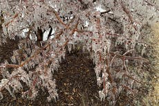 Lluvia helada azota región de los Grandes Lagos mientras Tennessee se prepara para clima extremo