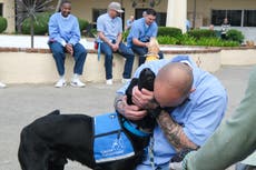 Reclusos de San Quentin se reencuentran con cachorros que criaron para ser perros de servicio