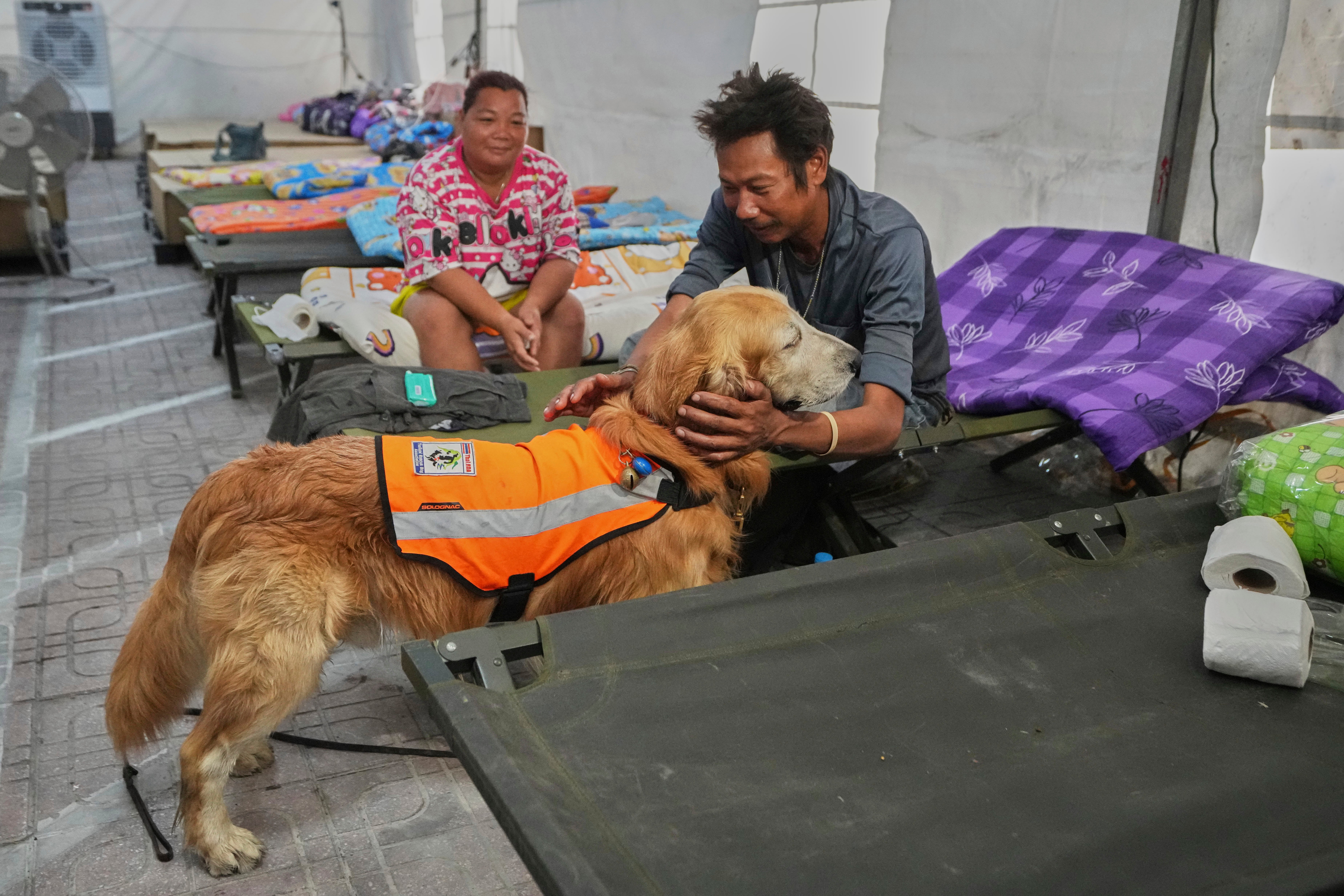 TAILANDIA-EDIFICIO DERRUIDO-PERROS