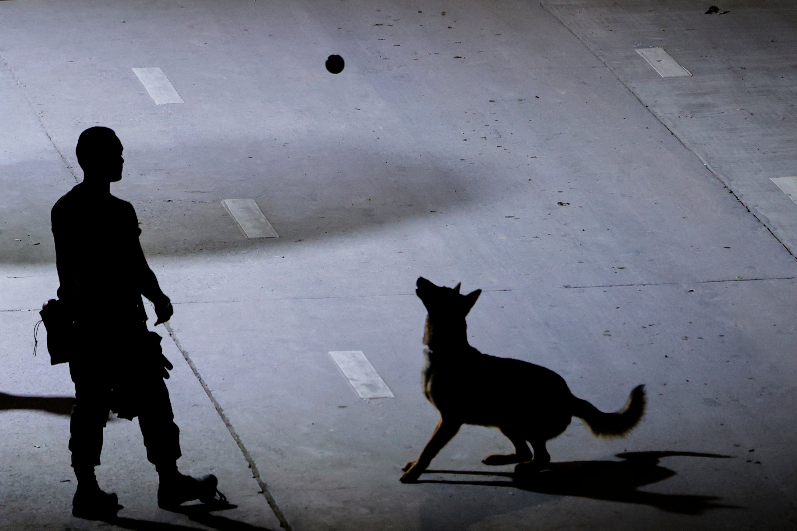 TAILANDIA-EDIFICIO DERRUIDO-PERROS