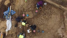 Arqueólogos en Viena revelan fosa común de combatientes de la era del Imperio Romano