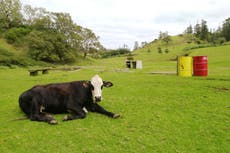 Ni los riscos del Ártico ni las islas tropicales se salvan de los aranceles de Trump