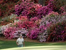 Masters 2025: McIlroy busca completar Grand Slam. Scheffler va por otro saco verde