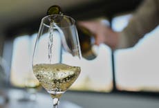 Ante el nuevo arancel de Trump, productores de vino francés anticipan tiempos difíciles