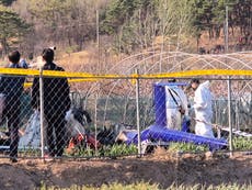 Muere un piloto tras estrellarse su helicóptero cuando apagaba un incendio en Corea del Sur