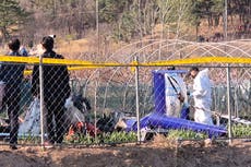 Muere un piloto tras estrellarse su helicóptero cuando apagaba un incendio en Corea del Sur