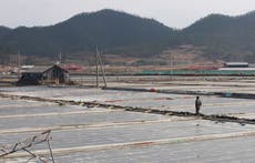 EEUU bloquea importaciones de sal marina de Corea del Sur por preocupaciones de trabajos forzados