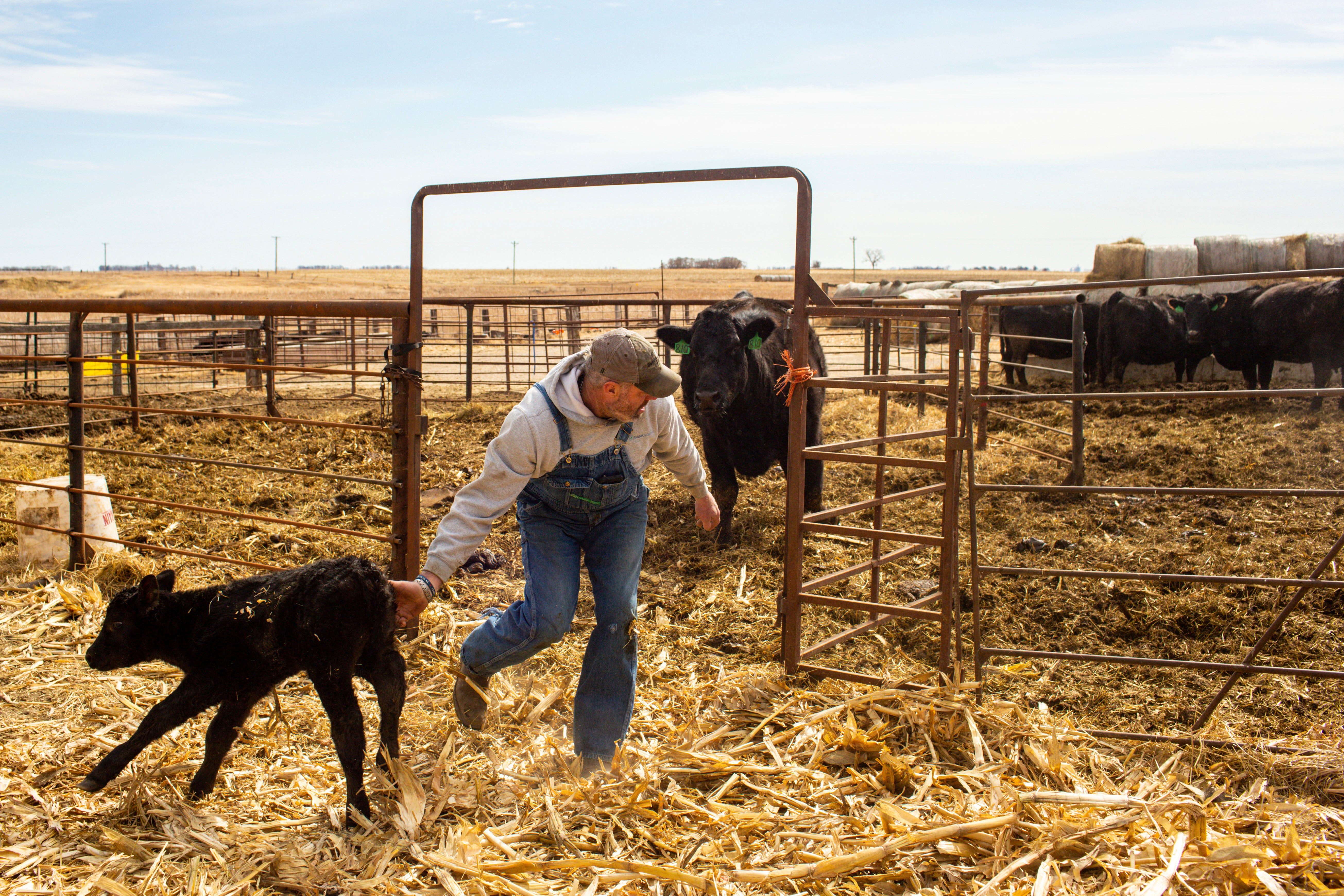 EEUU-GASODUCTO-DEMANDAS