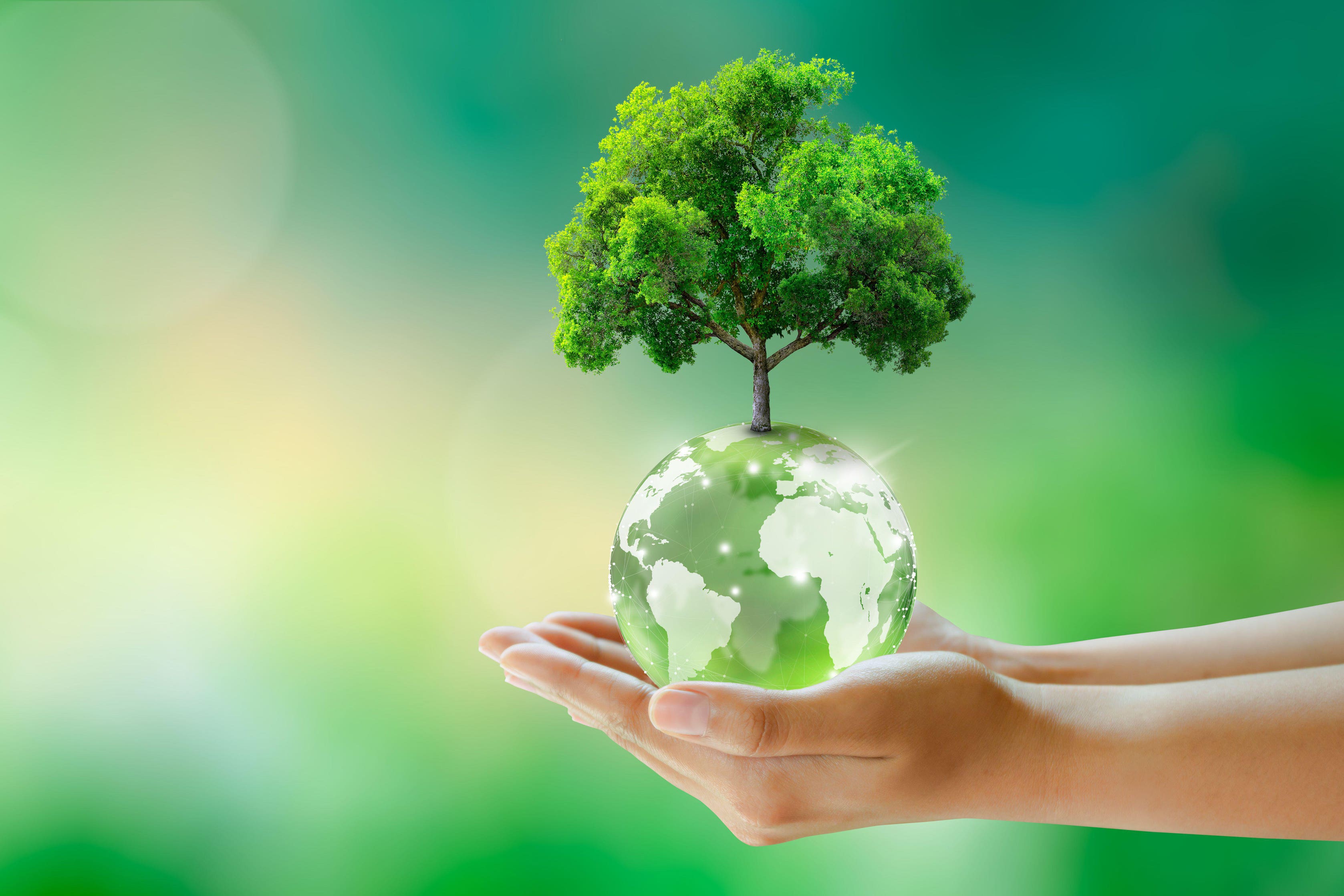 El Día de la Tierra se celebra cada 22 de abril y busca promover la conciencia ambiental en todo el mundo