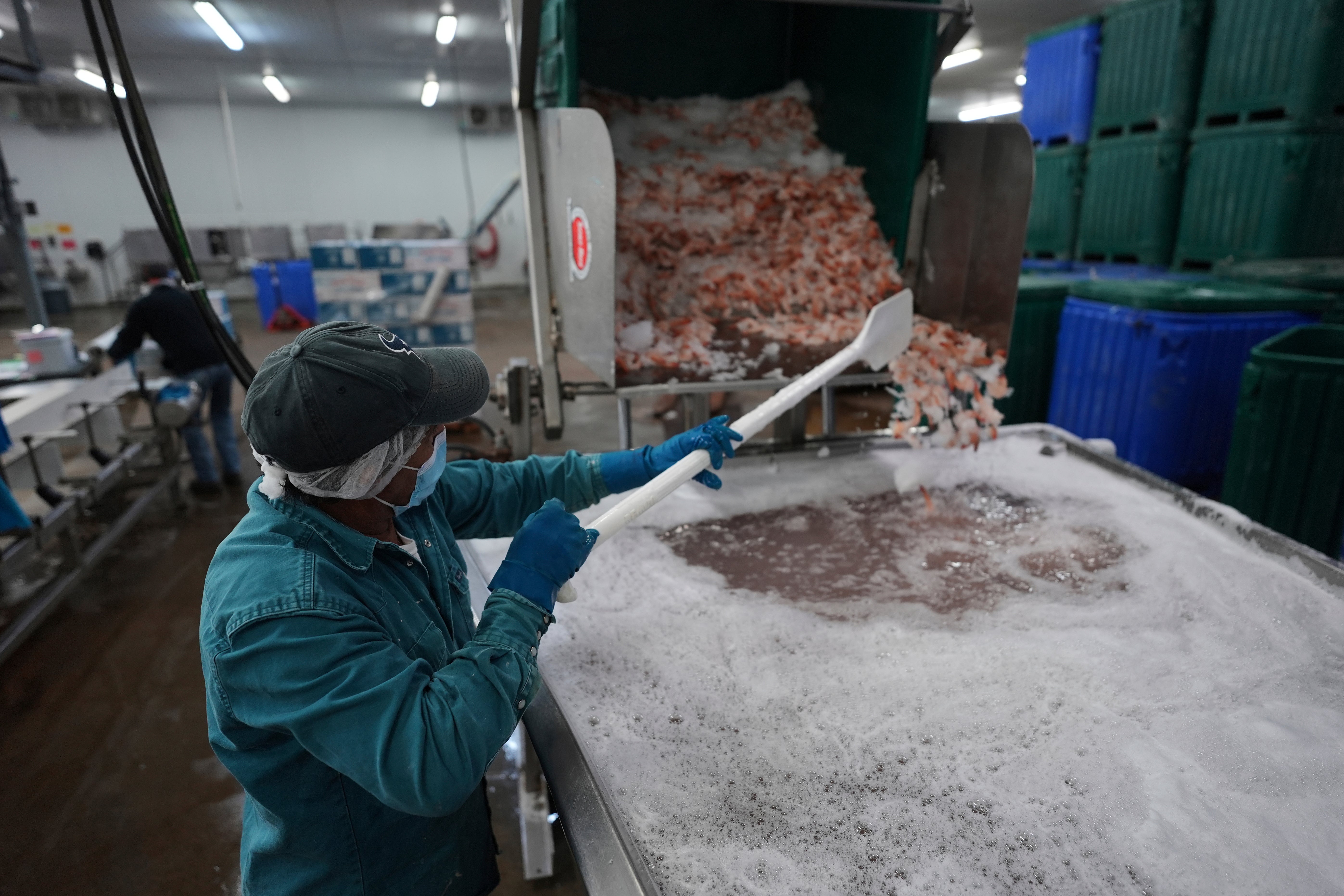 TRUMP-ARANCELES-CAMARONEROS