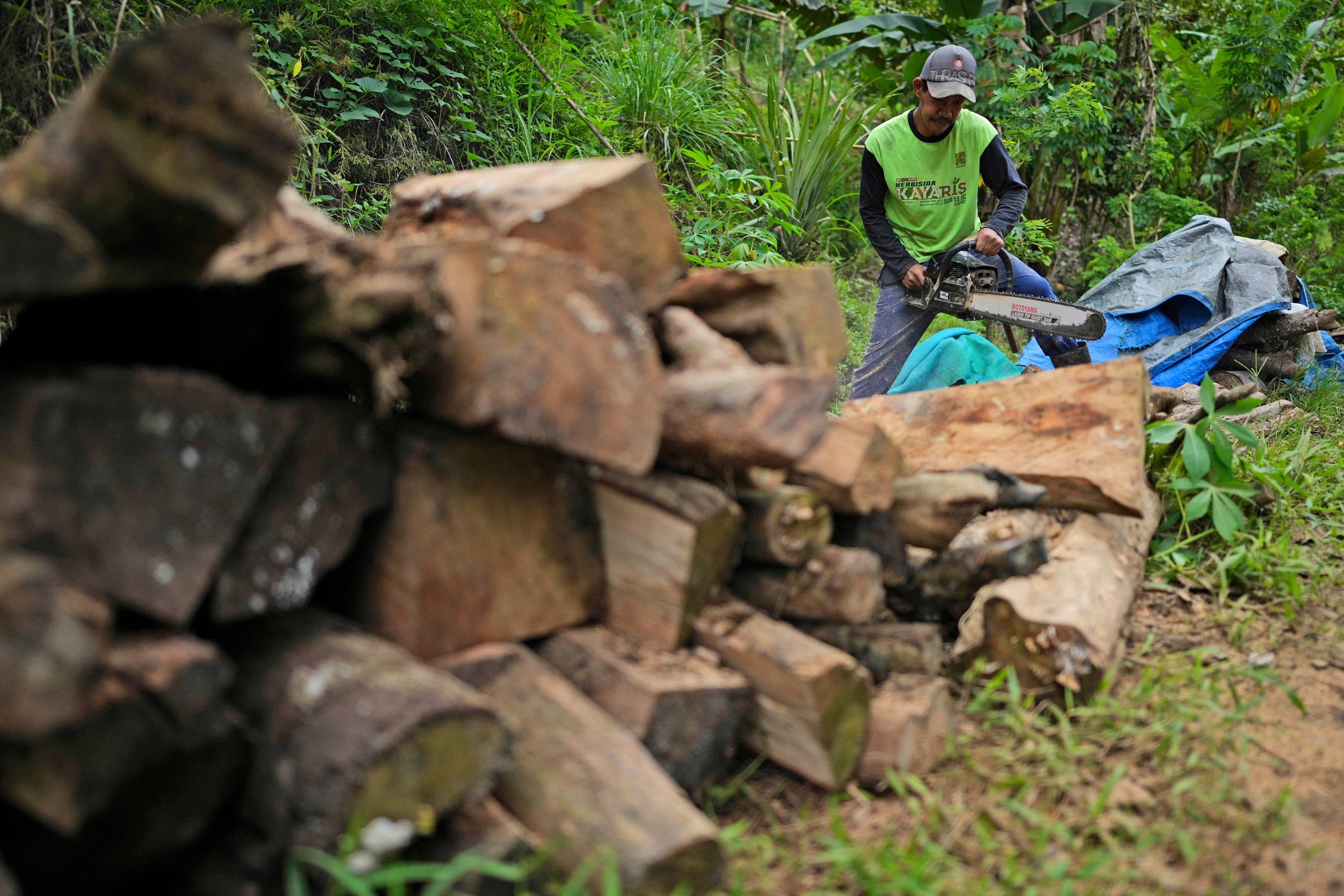 INDONESIA-DEFORESTACIÓN-ACEITE DE PACHULI