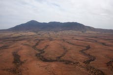 Qué se sabe de que el Seguro Social de EEUU clasifica a miles de inmigrantes vivos como muertos