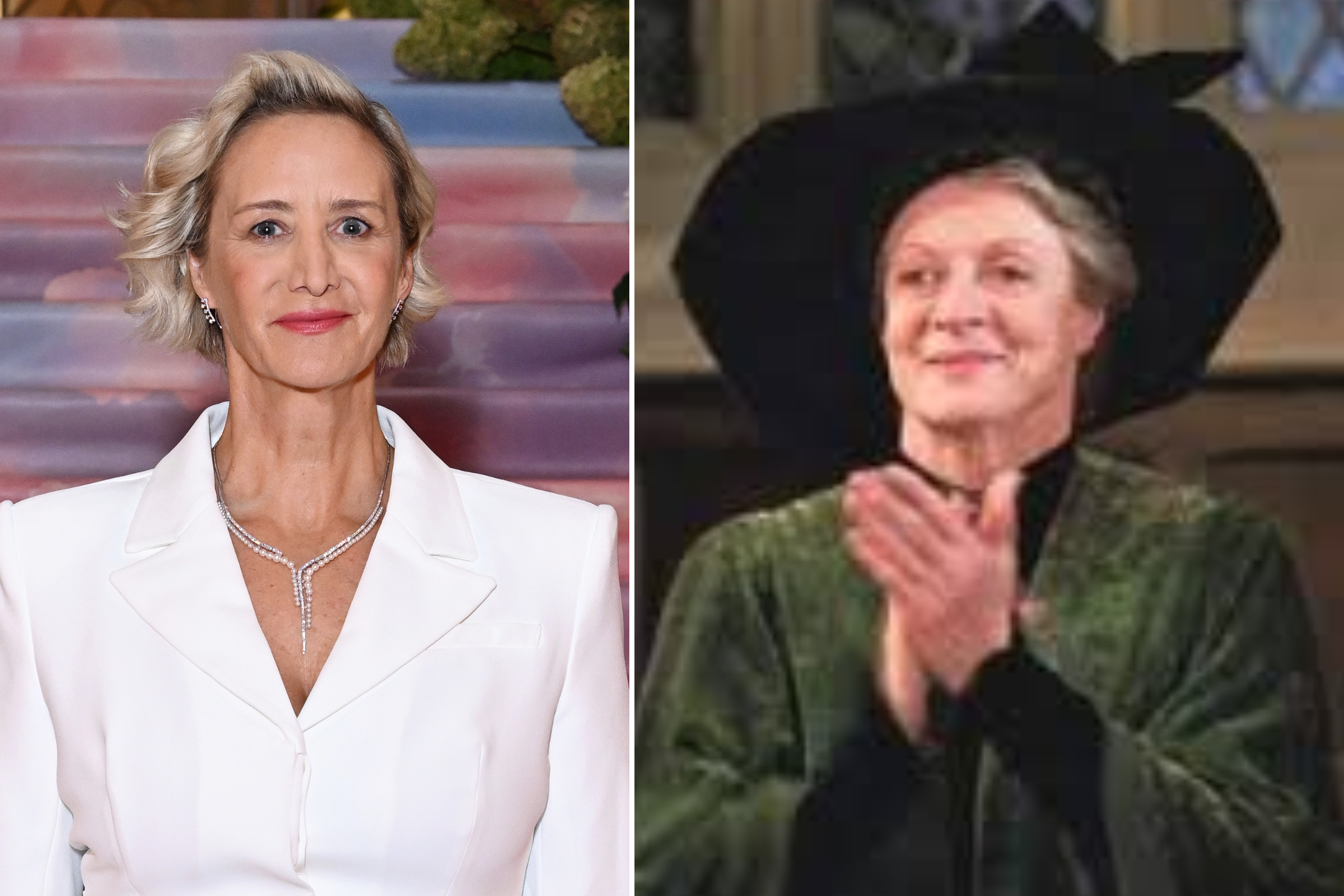 Janet McTeer interpretará a la profesora Minerva McGonagall, personaje que fue encarnado por Maggie Smith en las películas