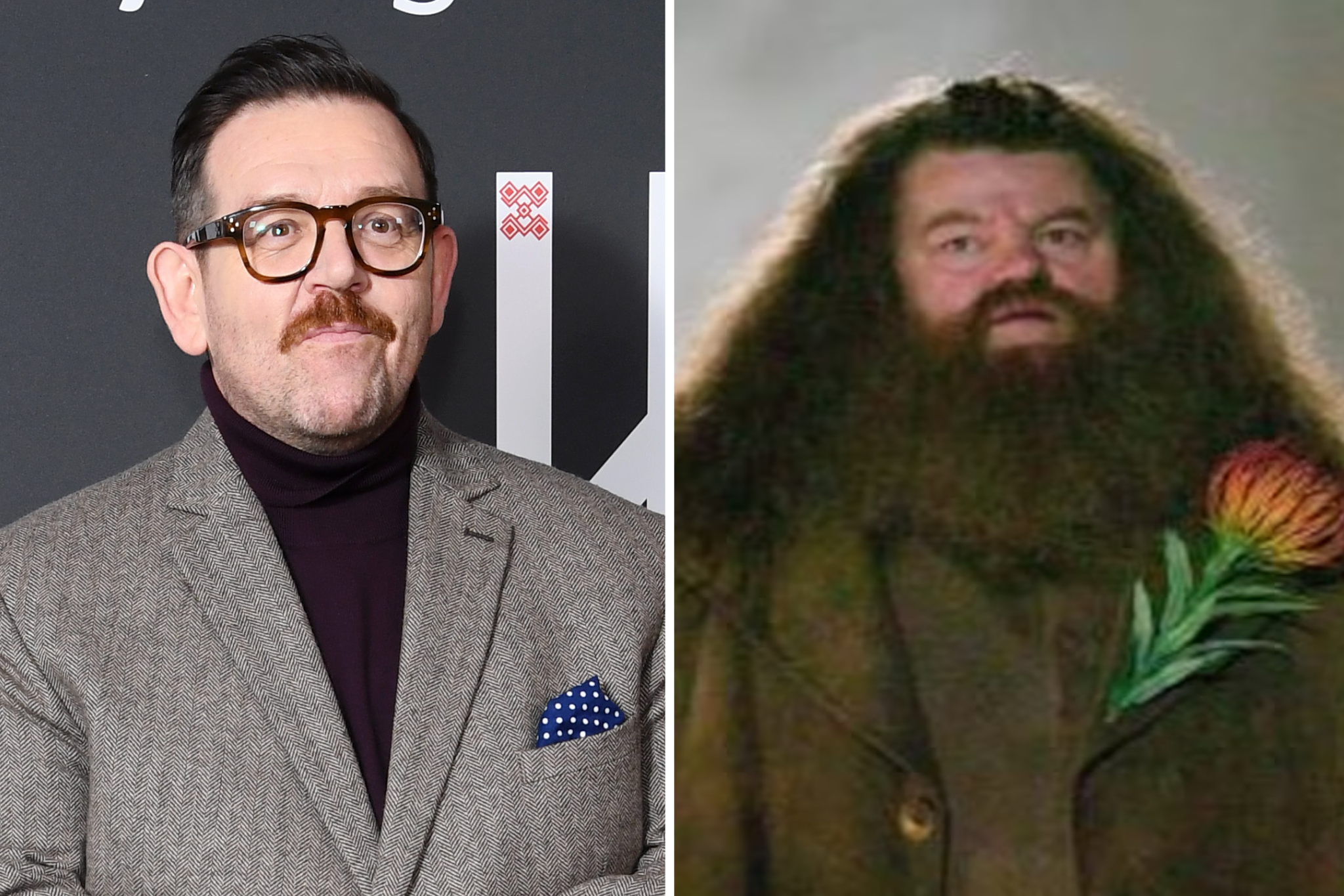 Nick Frost interpretará a Rubeus Hagrid en la próxima serie de Harry Potter producida por HBO