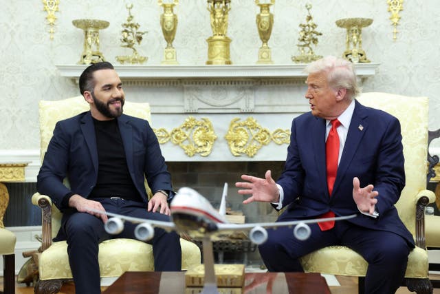 <p>El presidente de Estados Unidos, Donald Trump, se reúne con el presidente de El Salvador, Nayib Bukele, en el Despacho Oval</p>