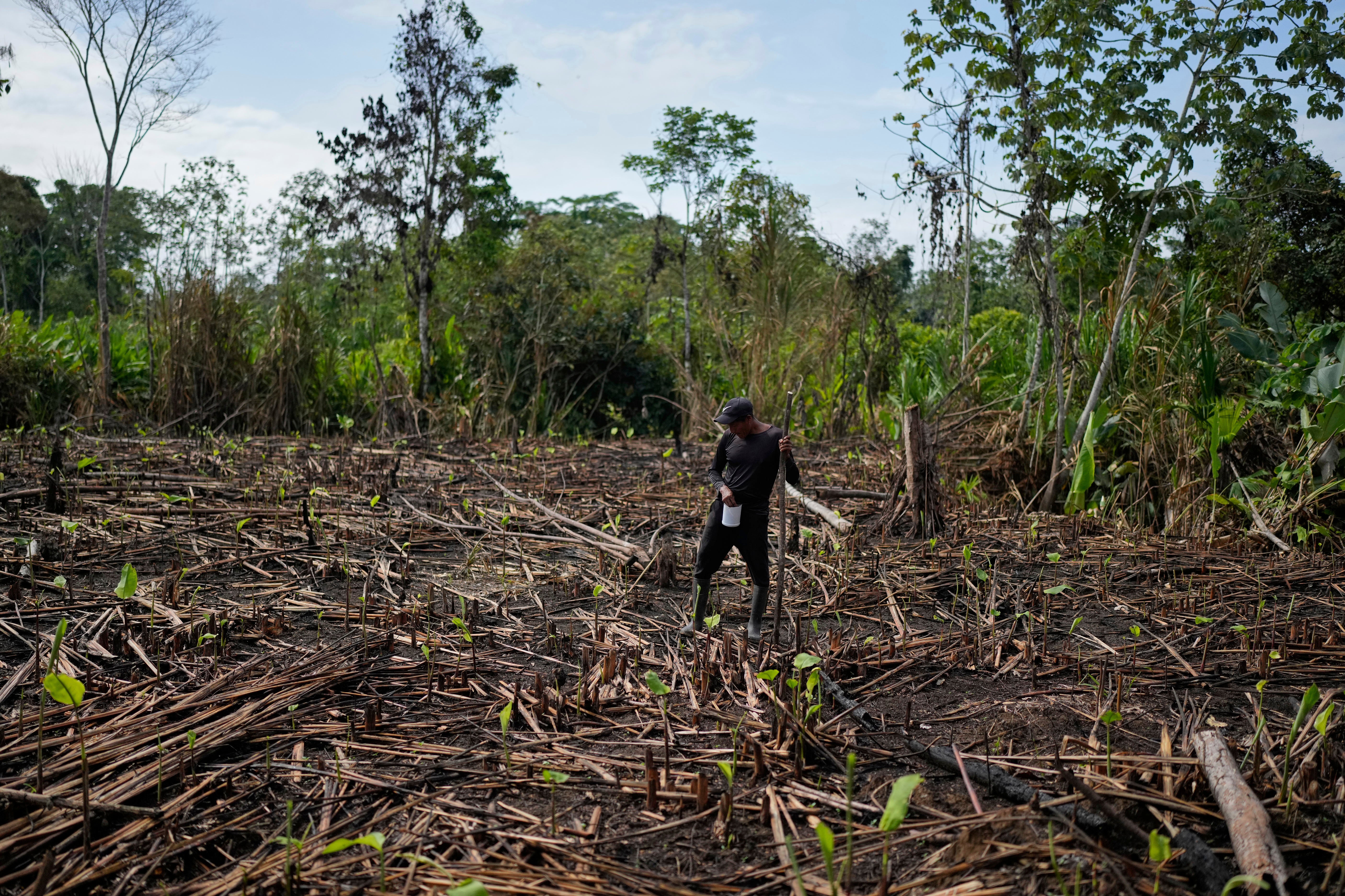 REP-INM PANAMÁ-DARIÉN AUGE Y CAÍDA
