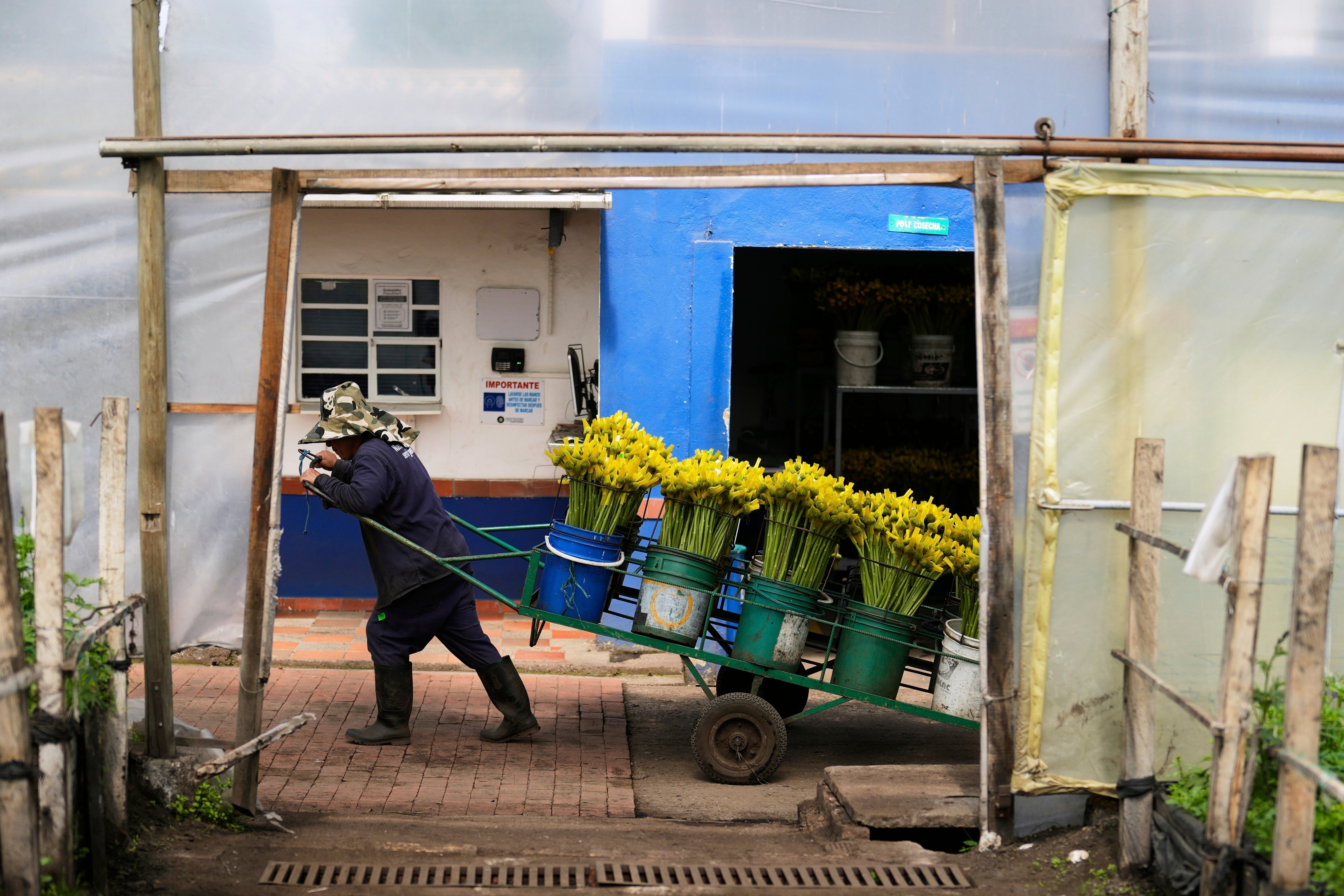 COLOMBIA-EEUU-FLORES