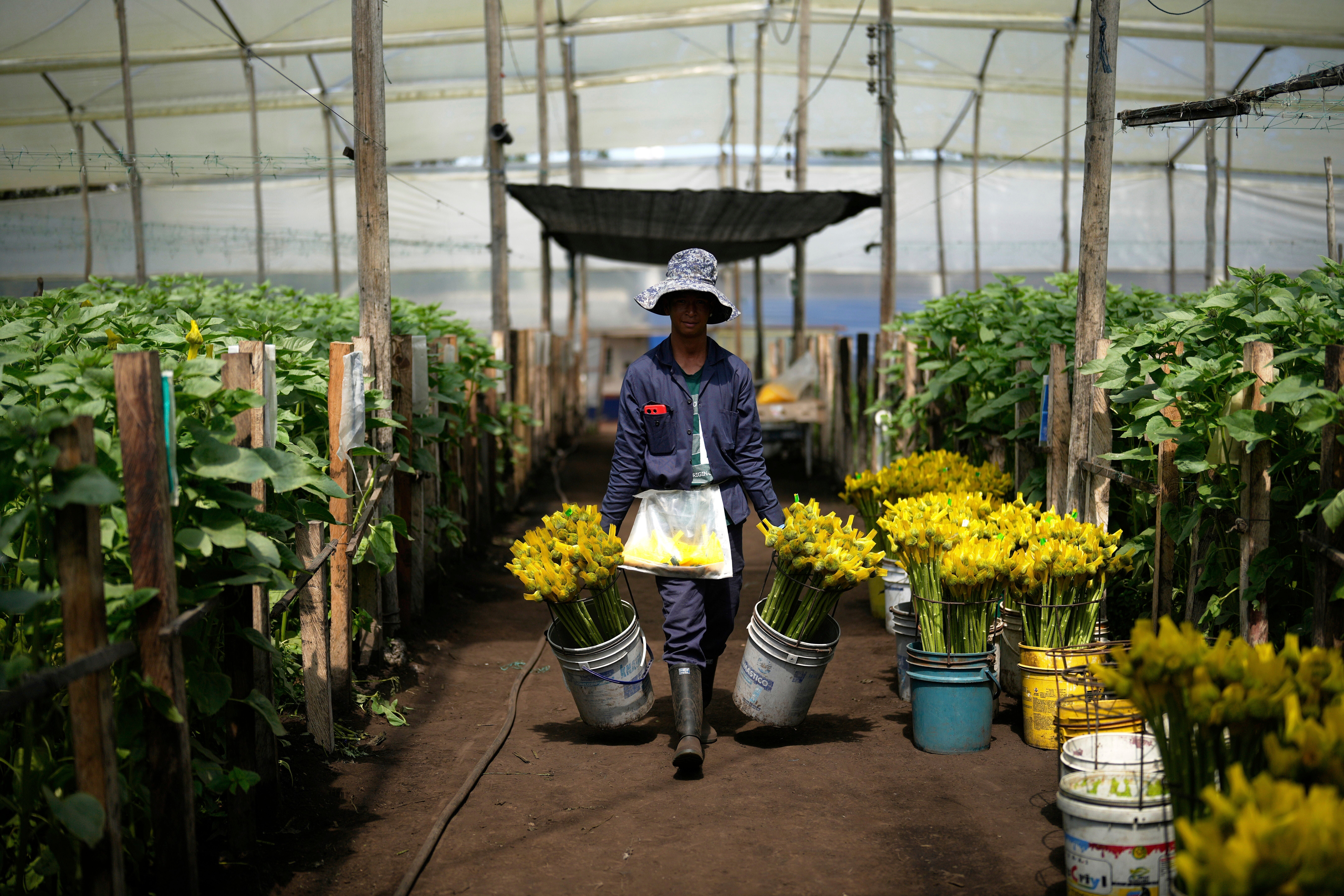 COLOMBIA-EEUU-FLORES