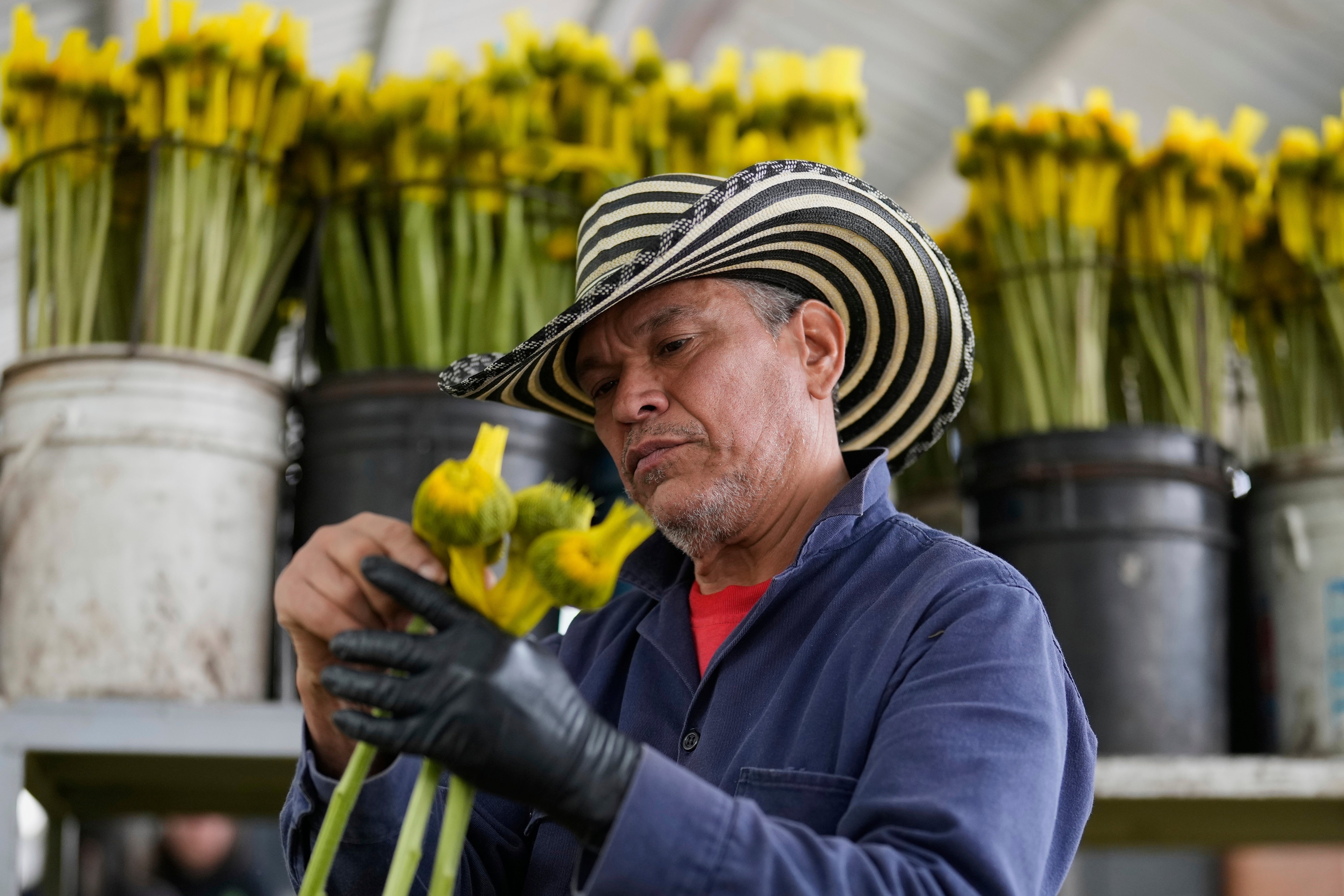 COLOMBIA-EEUU-FLORES