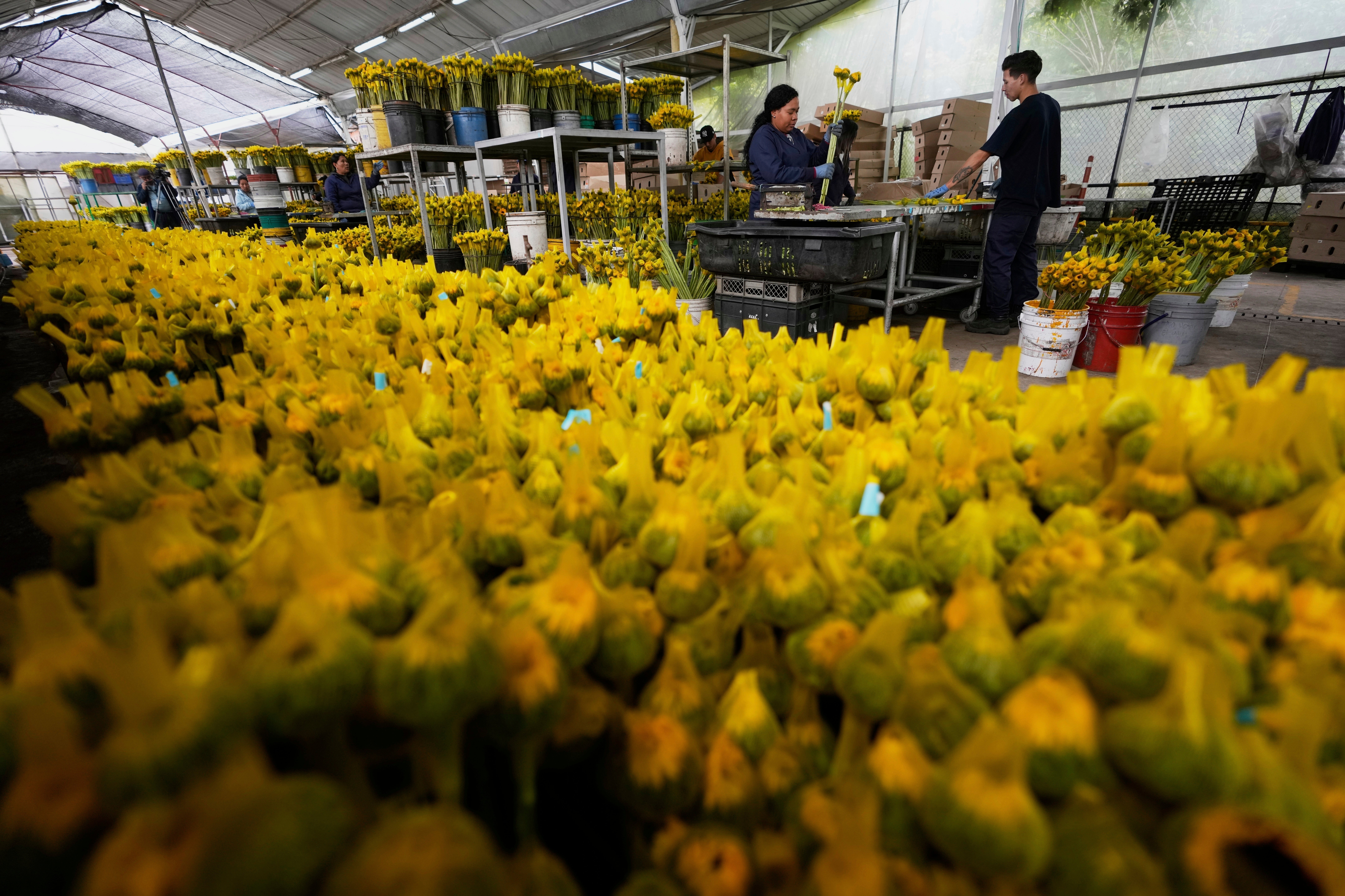 COLOMBIA-EEUU-FLORES