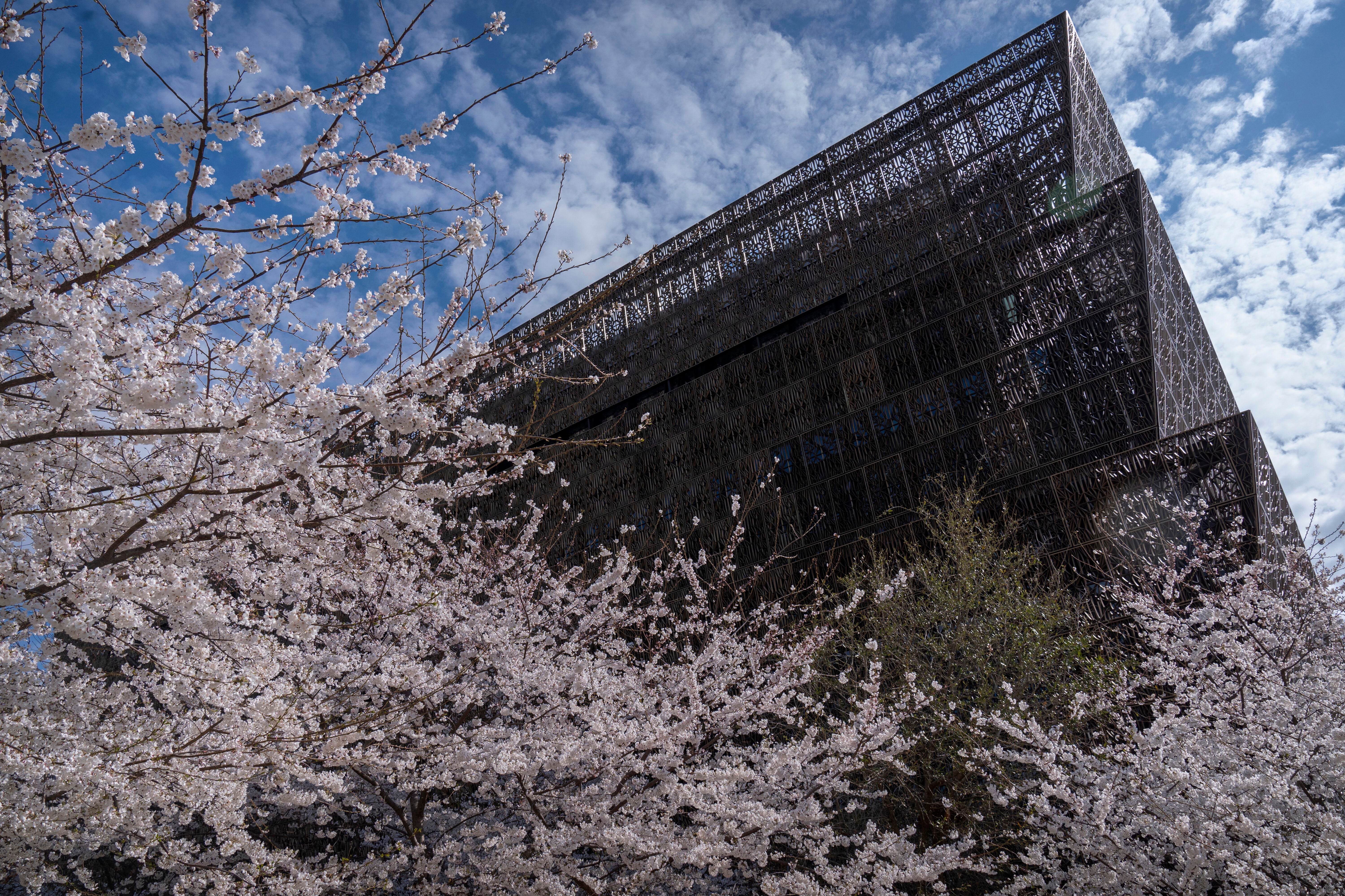TRUMP-NEGROS-SMITHSONIAN