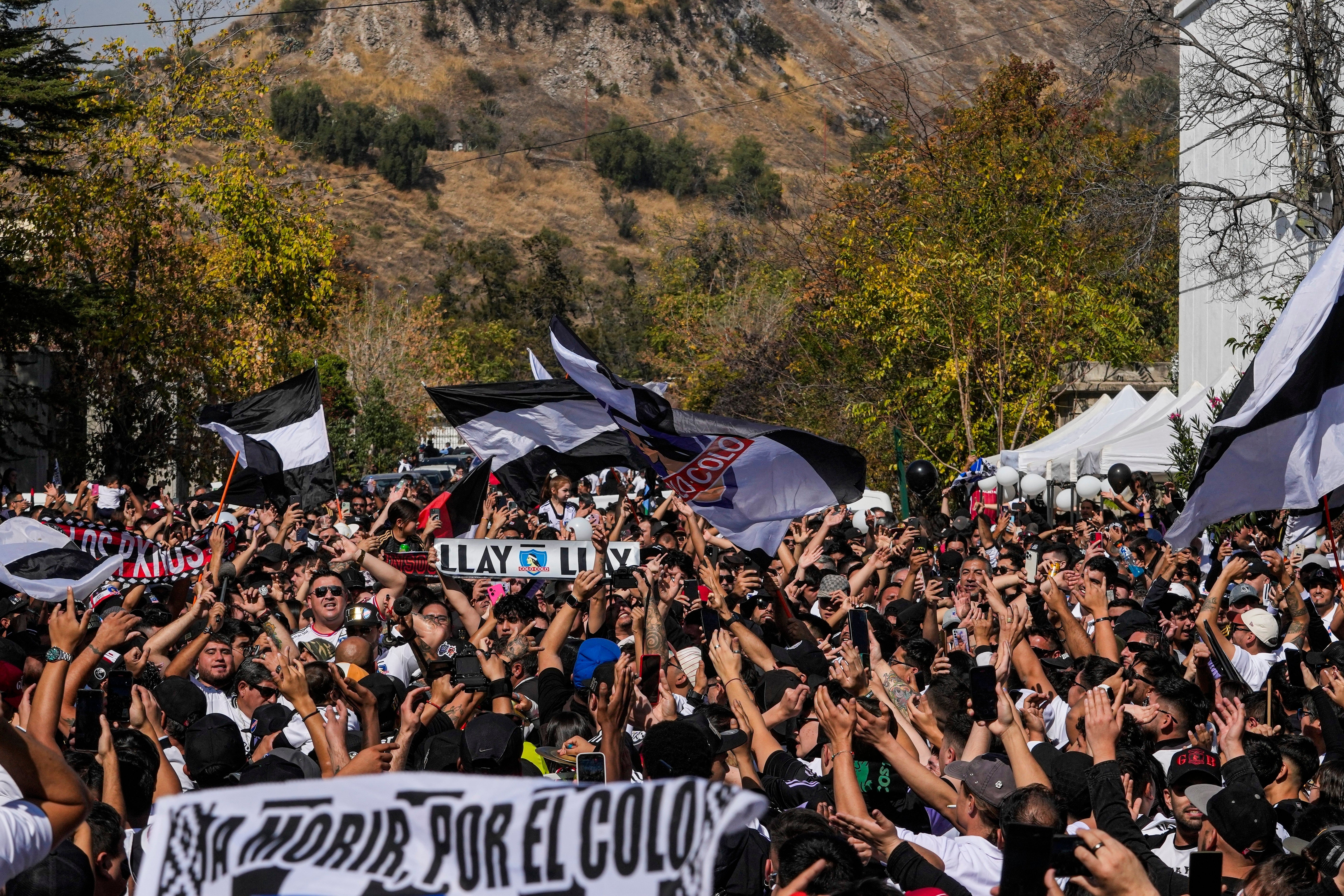 COLO COLO