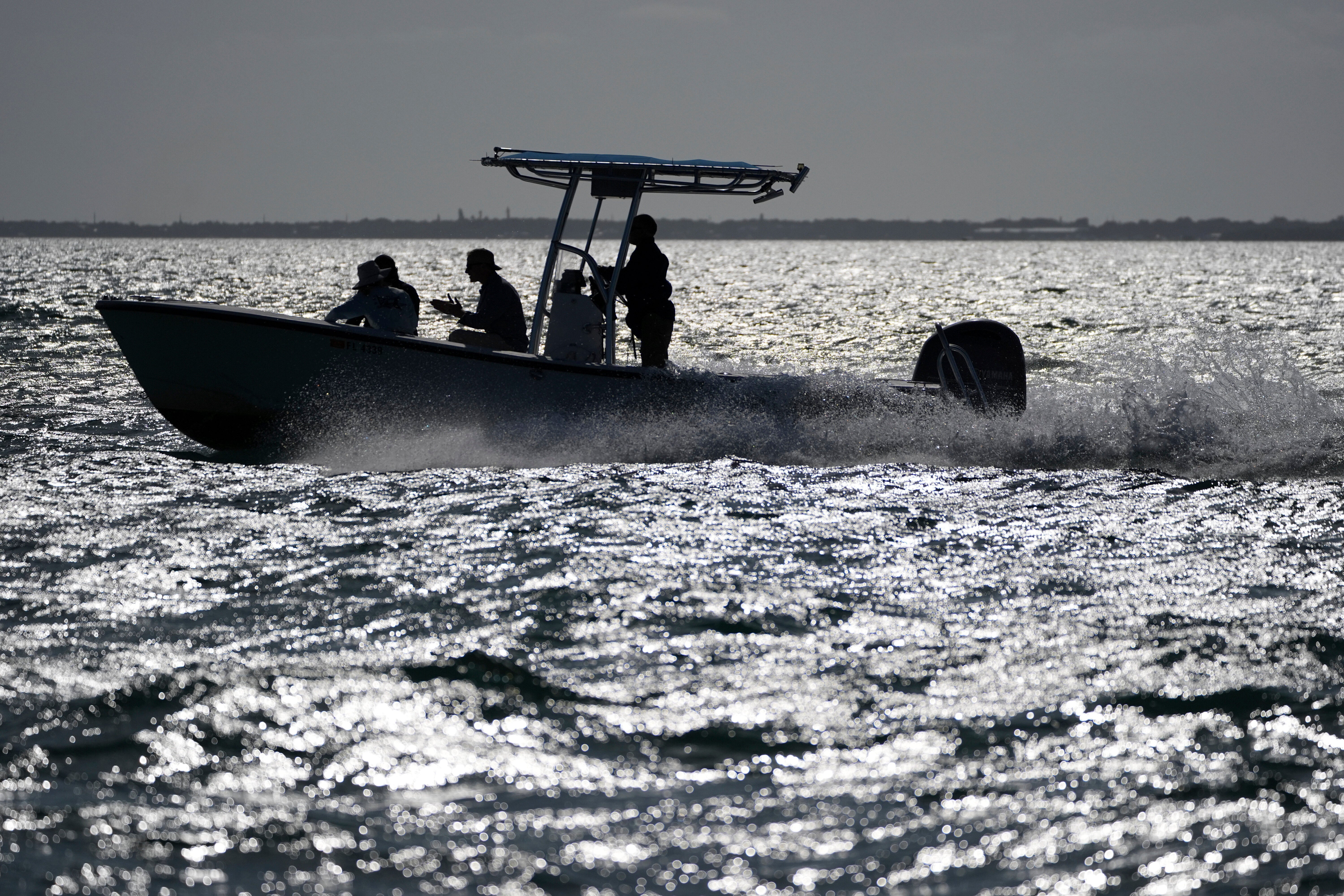 FLORIDA-EVERGLADES-RESTAURACION