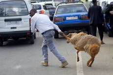 Los etíopes celebran la Pascua con llamados a la caridad y a la paz